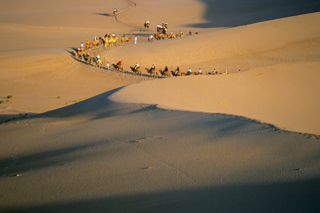 Camel caravan, Dunhuang, China