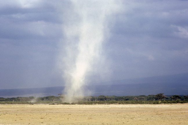 Dust Devil, Amboseli Park, Kenya