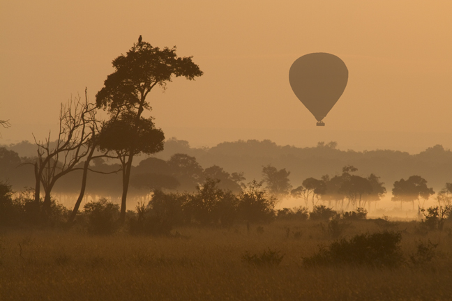 Mara River sunrise and hot air balloon