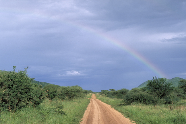 Serengeti road and rainbow, Tanzania