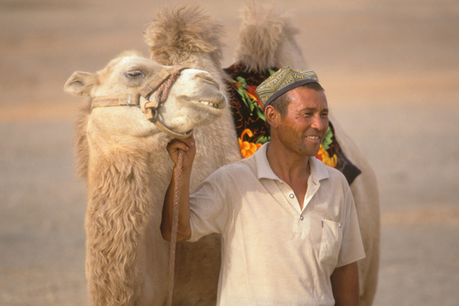 Camel Driver, Turpan Oasis, Western China