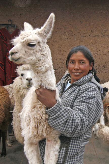 Quechua Woman with her Llamas
