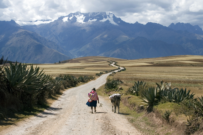Woman with Donkey, Sacred Valley, Peru